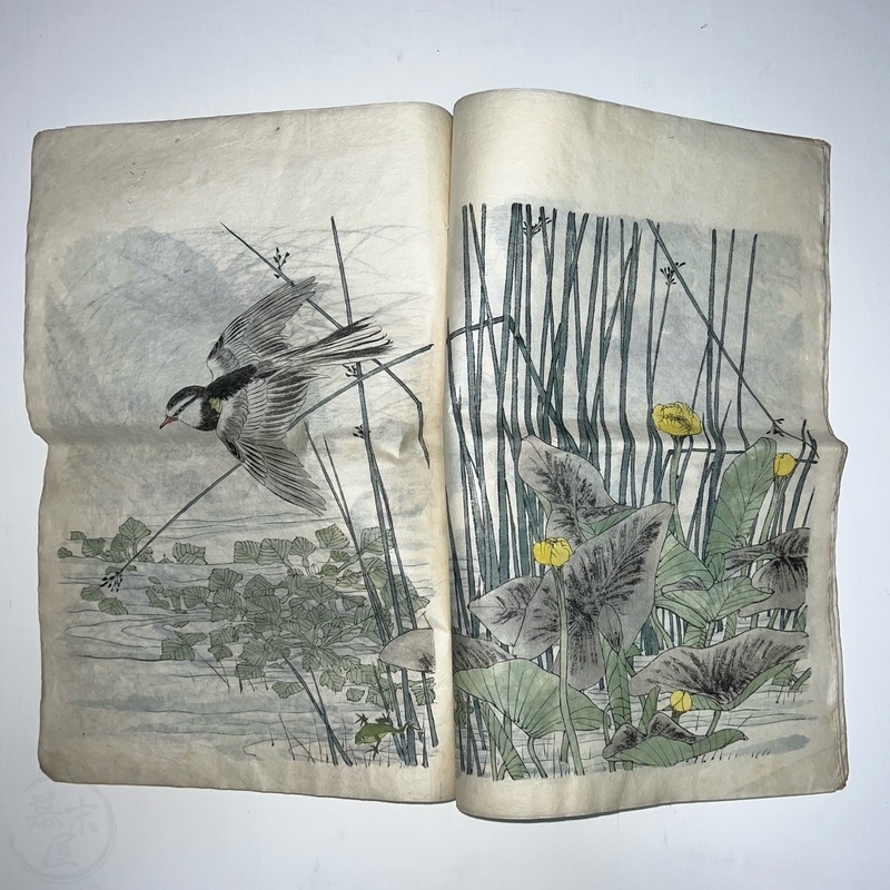 幕末屋 • 景年花鳥画譜 今尾景年画 写本 2冊 (日本の写本 幕末屋 • 景年花鳥画譜 今尾景年画 写本 2冊 (日本の写本
