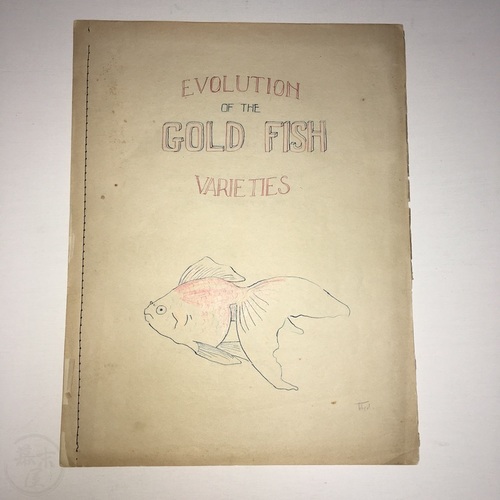 Evolution of the Gold Fish Varieties Typed manuscript by Stanley E. Wetmore