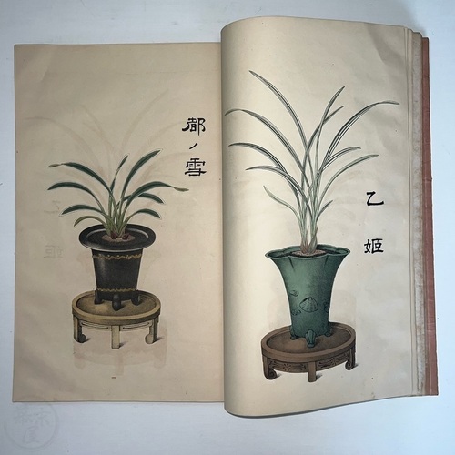 恵蘭画譜 石版本