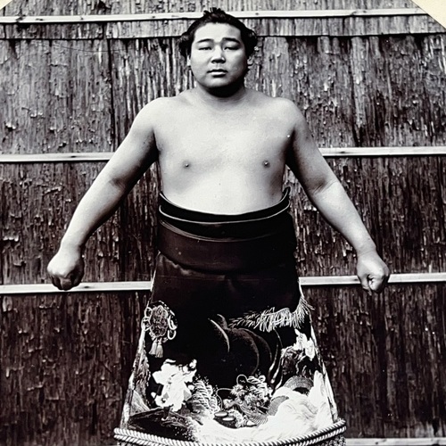 Large Format Photo of Sumo Wrestler Superb, unmounted image