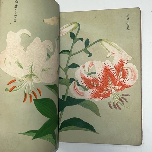 Selection of One Hundred Lilies by the Yokohama Nursery Company