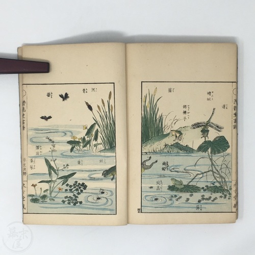 Senryudo Gafu - Woodblock printed book of insects by Takizawa Kiyoshi