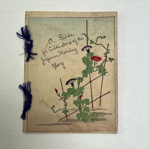 A Guide for Cultivators of the Japanese Morning Glory by Rokumonya, Tokyo