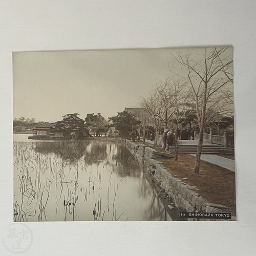 Large Format Photo of Shinobazu Pond, Tokyo Hand-coloured albumen print