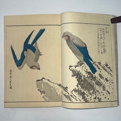 日光山志　5冊揃　絵入 植田孟縉編