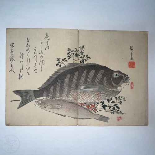 魚之絵画本 広重画