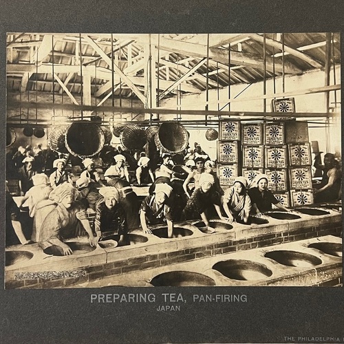 Large Format Photo of Tea Processing with export tea boxes and description