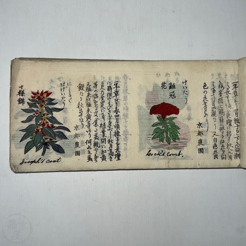 Flower Catalogue for the Four Seasons with The Kyoto Plant and Seed Co. stamps