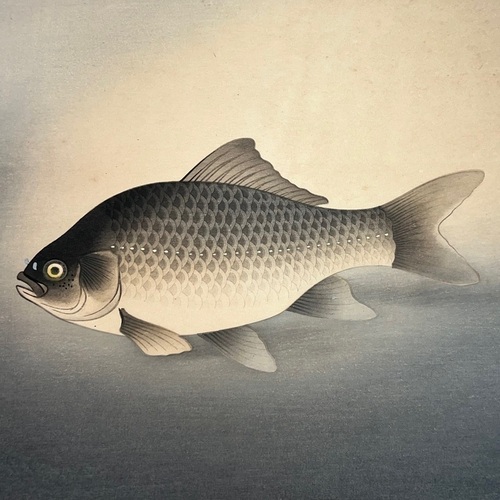 大野麦風 鯉　 木版画