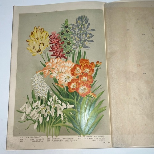 園芸植物図譜 横浜植木株式会社編　6冊