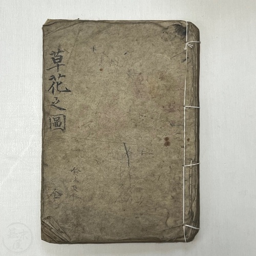 草花の図 絵入写本