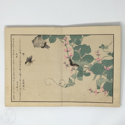 Illustrated Book of Different Insects by Kitagawa Utamaro