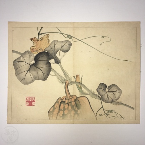 完瑛畫譜 西山完瑛画