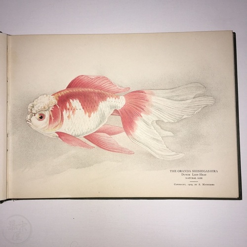 日本の金魚 ヒュー・エム・スミス