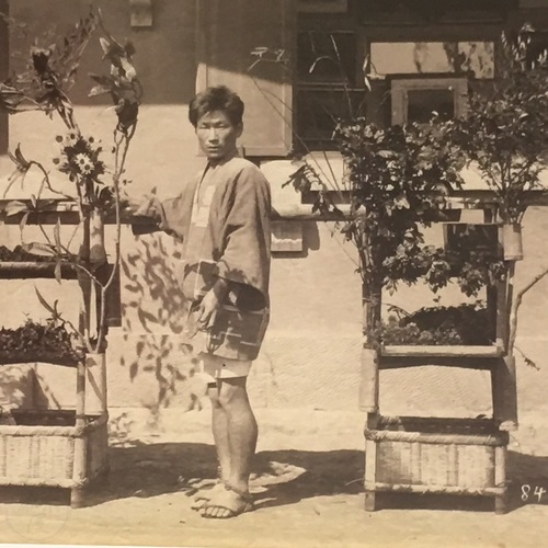 Large format photo of Flower Seller Scarce with Azukisawa studio sign visible