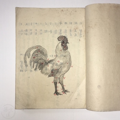 Early Japanese Version of 'The Poultry Book' by Tegetmeier Handwritten manuscript