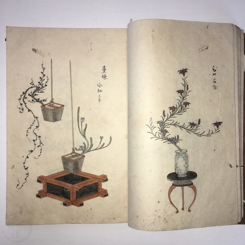 Ikebana Manuscript Book in Colour with Hand-Drawn Arrangements by Shogessai Ippo (Ichimine)