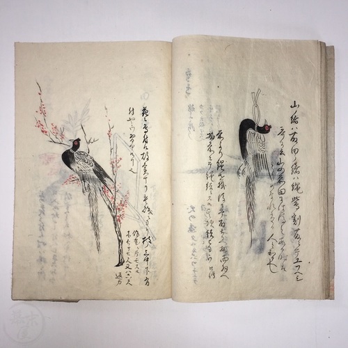 Illustrated Manuscript of How to Prepare Game Birds Secret Ogasawara-ryu Book